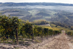 ソットカステッロ